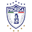 Logo de Pachuca